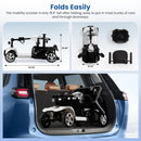 THLAND 30 Miles Long Range 4 Wheel Electric Mobility Scooter with 350W Motor - Foldable Mobility Scooter for Adults/Seniors - Compact Heavy Duty Mobility for Travel, 300 lb Capacity (Silver)